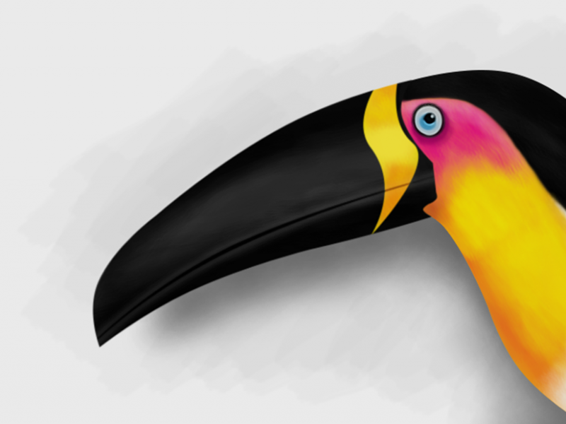 toucan